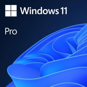 MICROSOFT Windows 11 Pro 64-bit ENG DVD OEM anglická krabicová verze