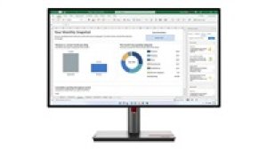 Lenovo ThinkVision/P24q-30/23,8''/IPS/QHD/60Hz/6ms/Blck-Red/3R