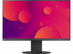 24'' LED EIZO EV2460 - WUXGA,IPS,DP,piv,black